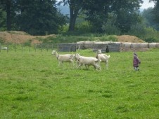 Jonáš, Krištof, Leja, Róza ,Franta a Helenka