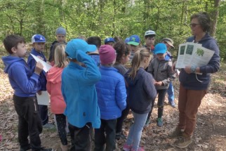 Ekocentrum Sedmihorky